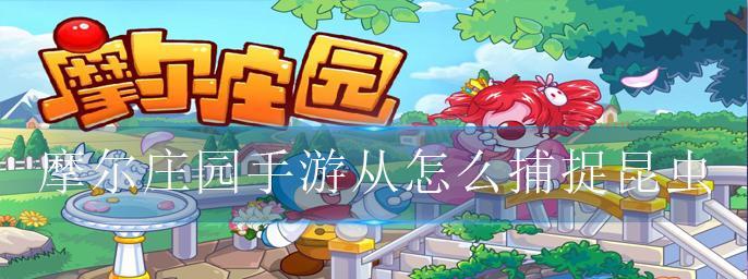 玩转昆虫世界——以守墓人昆虫捕捉方法介绍（探秘昆虫世界）