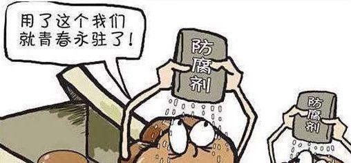 《以天国拯救》防腐剂炼金术攻略（以天国之名）