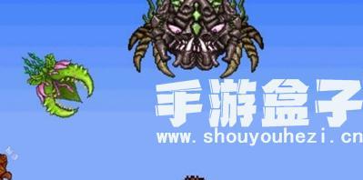 泰拉瑞亚骨制飞刀怎么样？获取方法与性能解析？