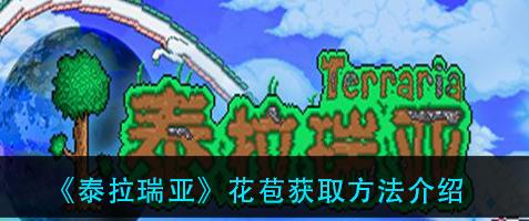 泰拉瑞亚节日时装怎么获得？获取方法有哪些？