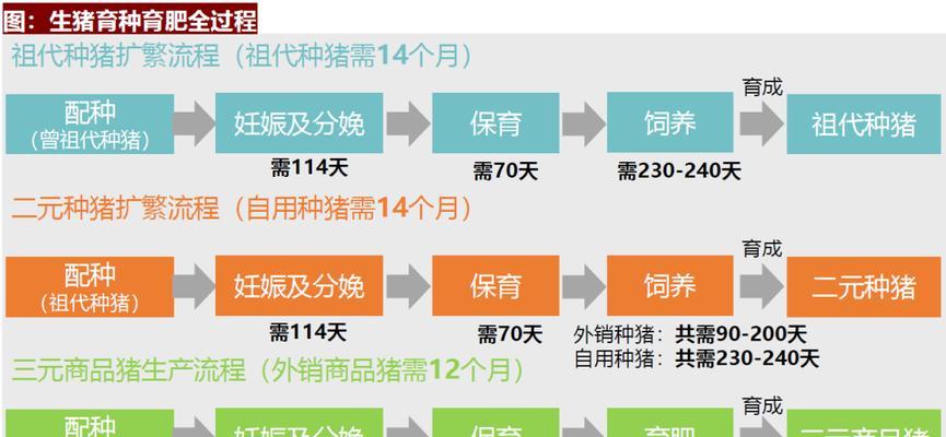 猪圈活跃度提升方法有哪些？