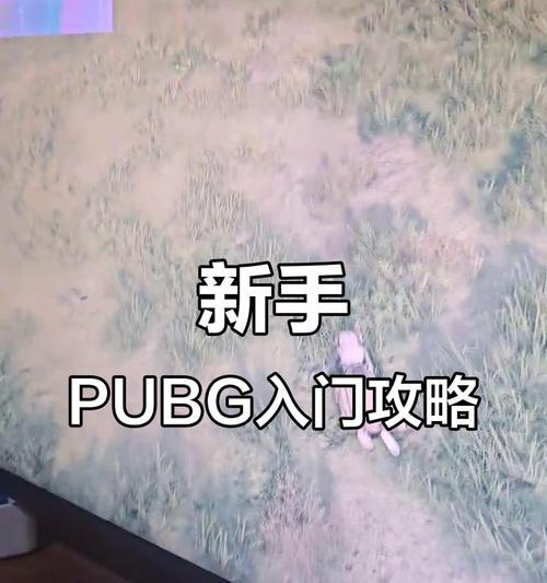 新手如何快速上手绝地求生？绝地求生快速熟练的技巧有哪些？