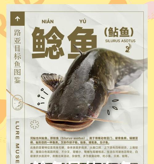我的世界中鲶鱼在哪里可以找到？有什么用途？