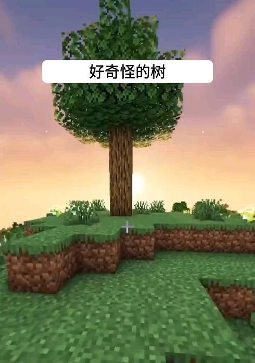 《我的世界》中采集树枝的技巧有哪些？
