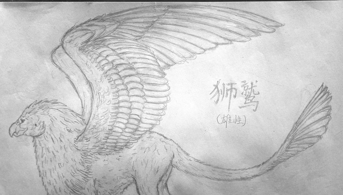 刀塔2中狮鹫角色如何获得？获取狮鹫的条件是什么？
