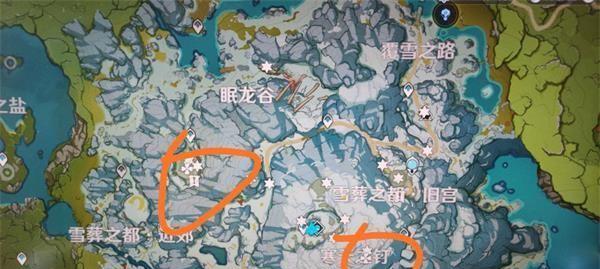原神（揭秘龙脊雪山大冰骗骗花的最佳策略）