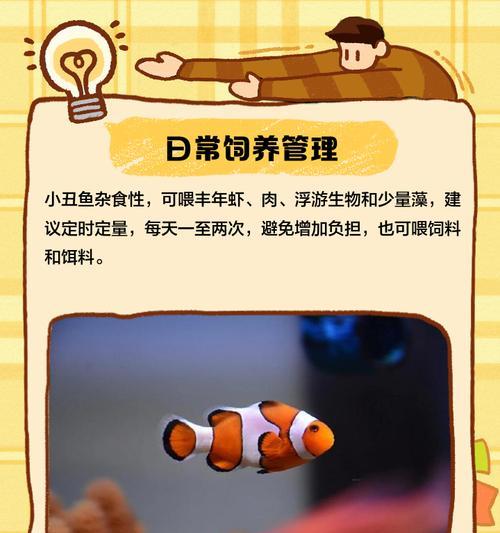 我的世界中如何钓到小丑鱼？需要哪些技巧？