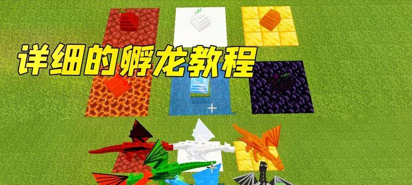 我的世界龙蛋孵化需要什么条件？