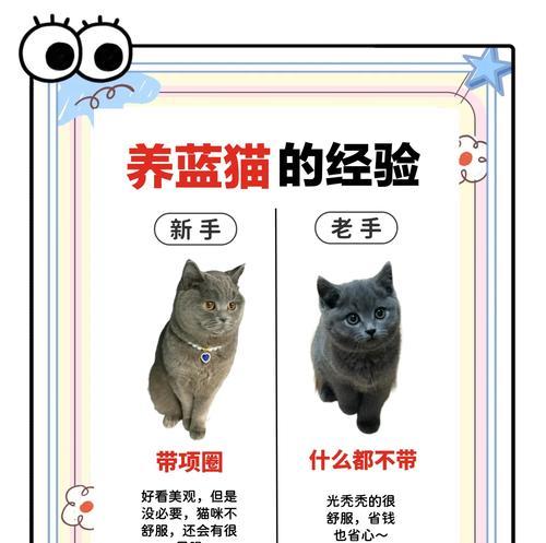 蓝猫连招技巧是什么？蓝猫出装顺序如何选择？
