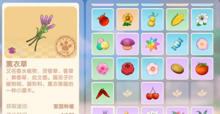 大话西游2天慧星的获取方法是什么？