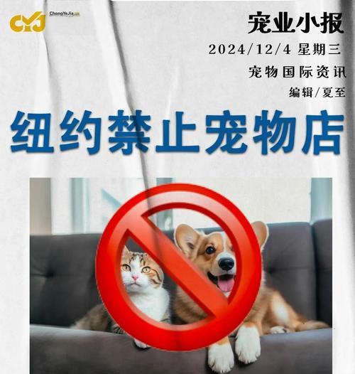 限制交易宠物的永久方法是什么？有何影响？
