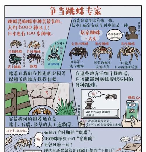 蜘蛛爬行达人（挑战极限的游戏玩法）
