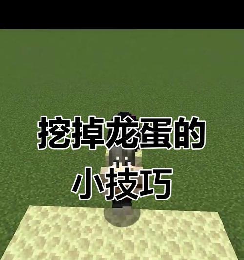 普通龙蛋的获取途径有哪些？