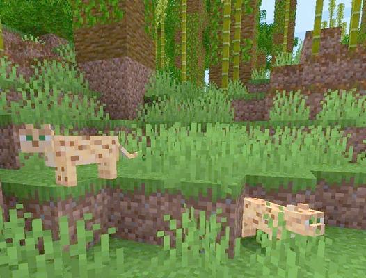 在《我的世界》中养豹猫需要注意什么？