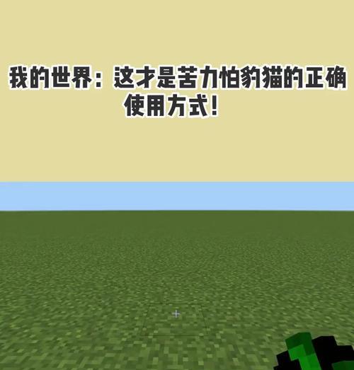 在《我的世界》中养豹猫需要注意什么？