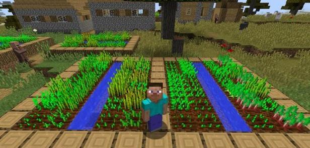 我的世界中如何建造养殖场？养殖场的最佳布局是什么？