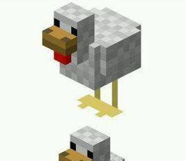 我的世界中如何正确处理鸡肉？鸡肉的烹饪方法有哪些？