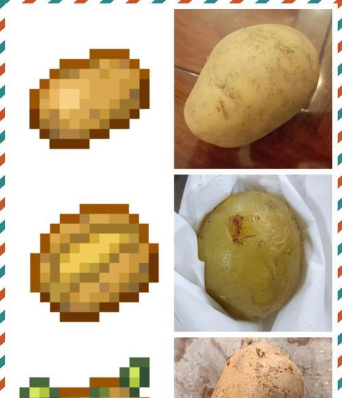 我的世界中如何种植小麦种子？需要哪些步骤？