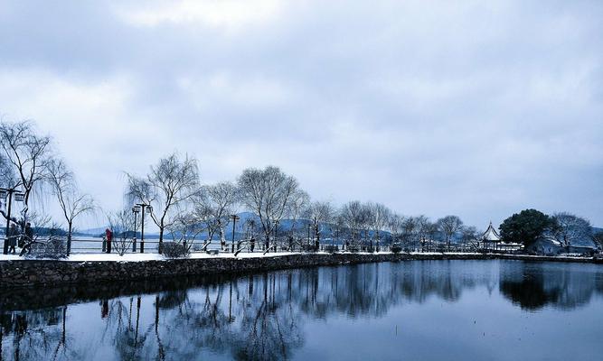 暖雪毒囊（揭秘暖雪毒囊的多种用途及其关键作用）
